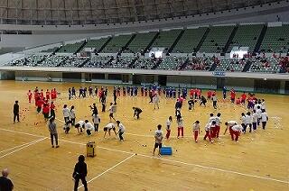 19.jpg
