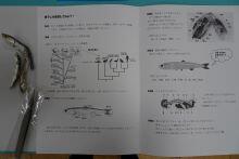 DSC05334.JPG
