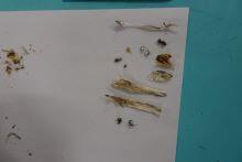 DSC05339.JPG
