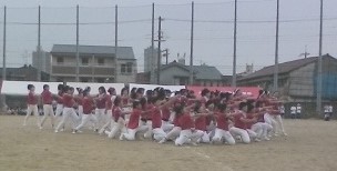 WIN_20150605_123808.JPG