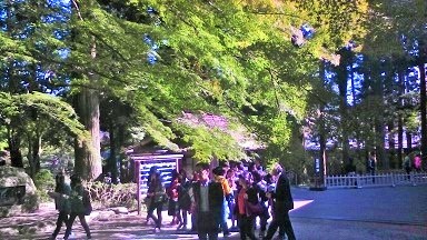 photo_00320.jpg
