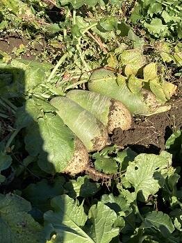 s_IMG_8117.jpg