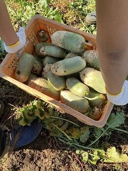 s_IMG_7995.jpg