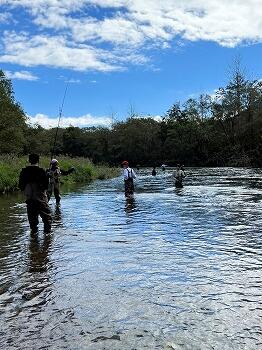 s_IMG_7984.jpg