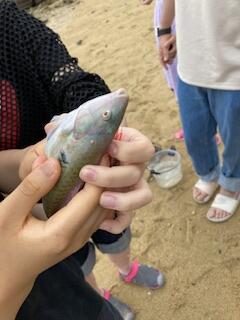 IMG_1889.jpeg