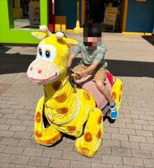 IMG_6489_s.jpg