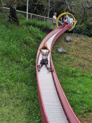 IMG_6589_s.jpg