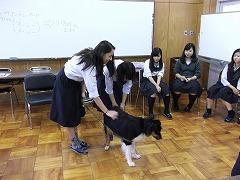 DSCF3368.jpg