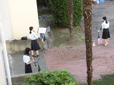 1CIMG0325.jpg