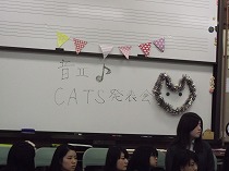cats1.jpg