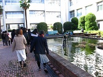 d3gs04.jpg