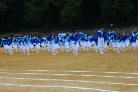 news060508.jpg