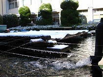 ygk03.jpg