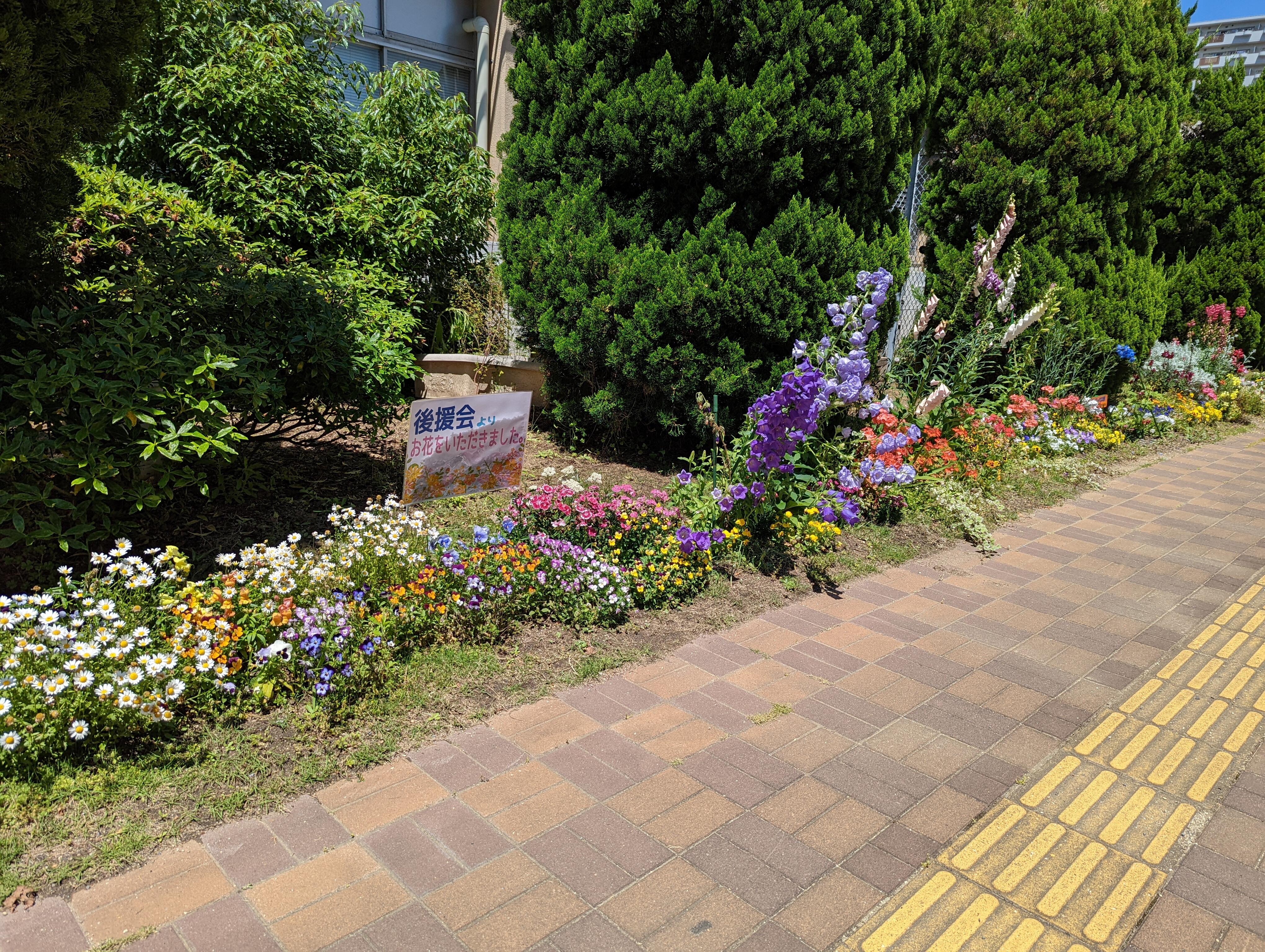 PXL_20240514_040722242.jpg