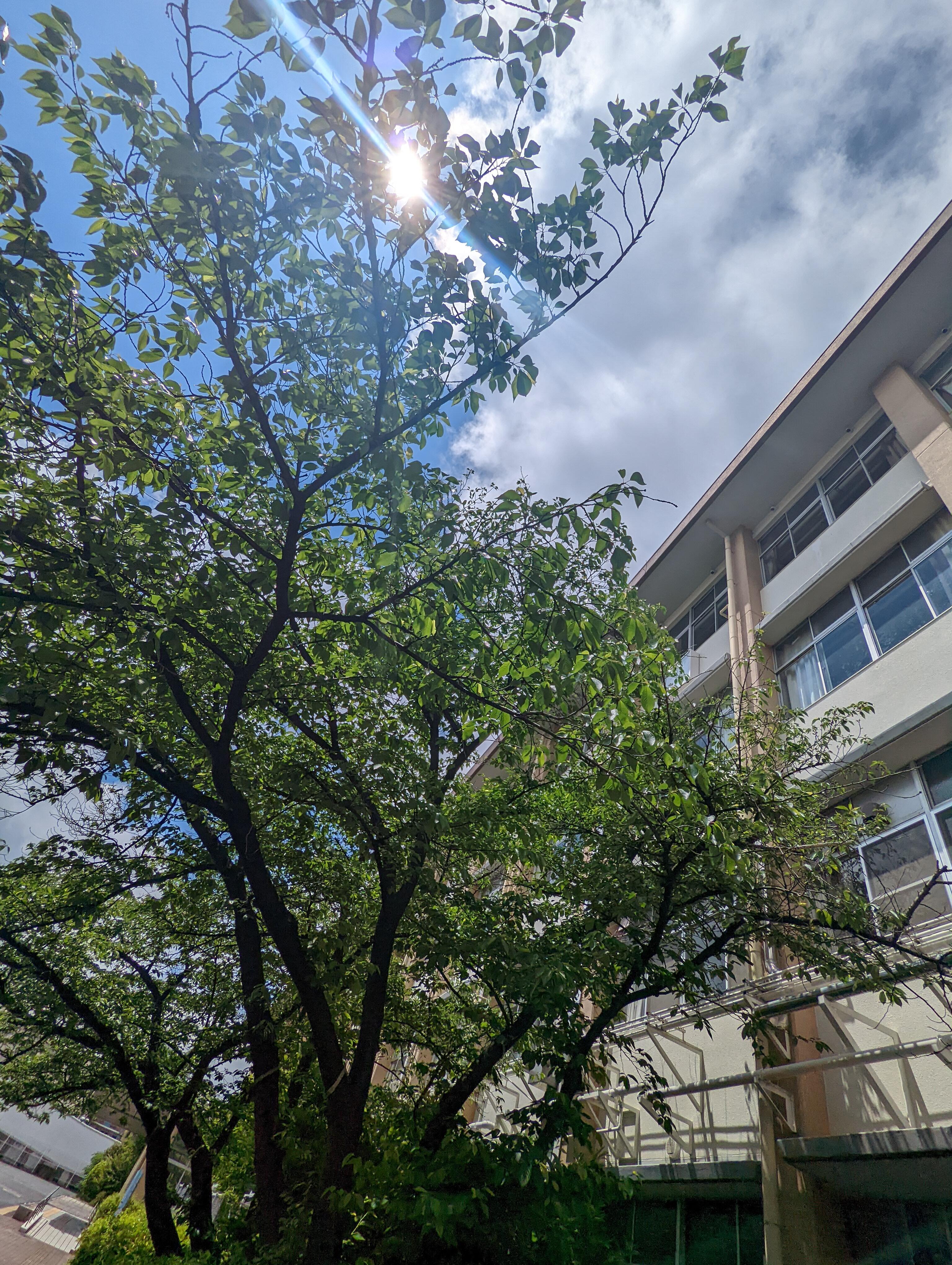 PXL_20250502_033658787.jpg