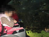 IMG_0715.JPG
