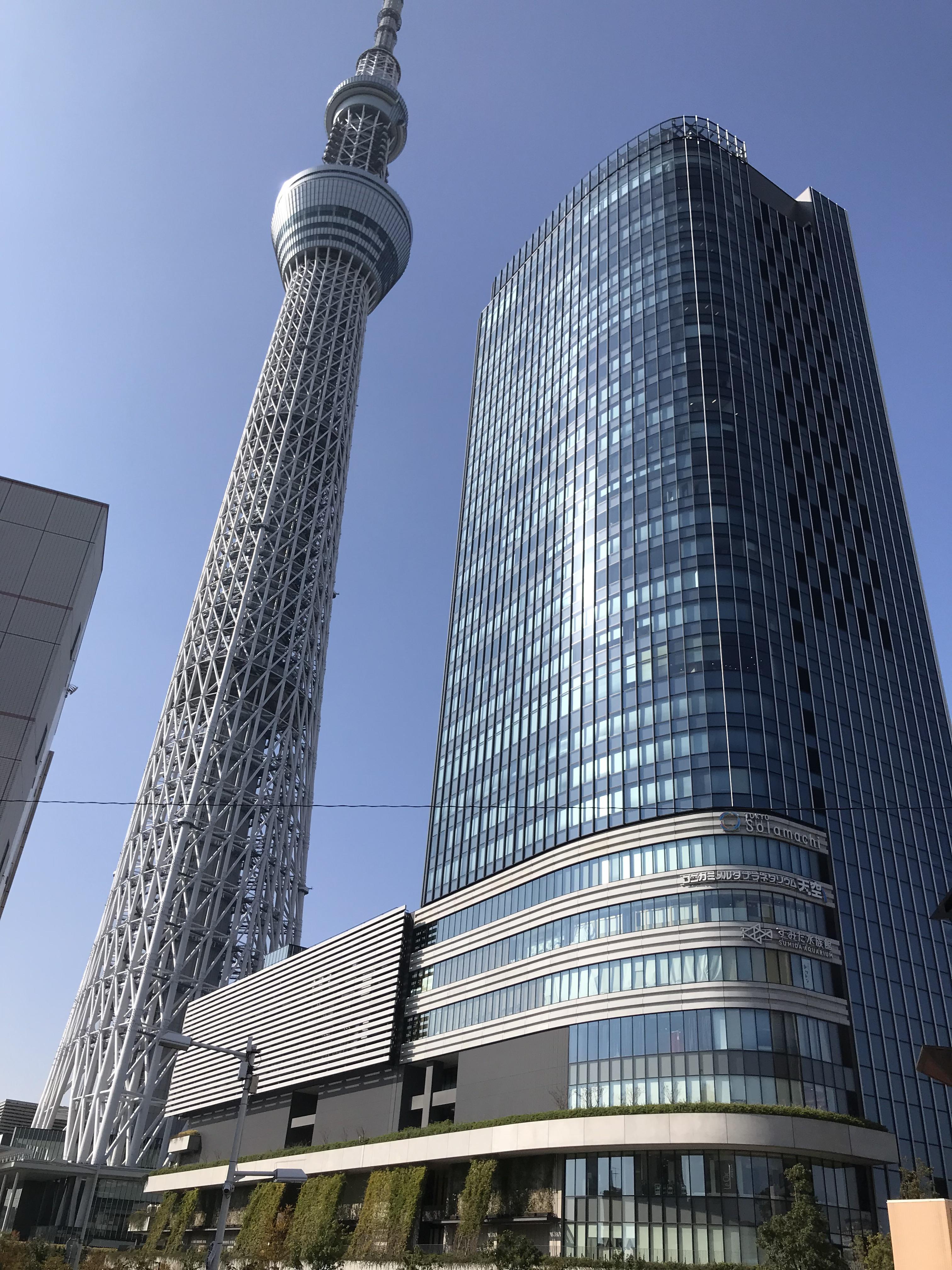 https://www.osaka-c.ed.jp/blog/namba-naniwa-s/naniwaschool_diary/181fa36f6112c7d50043292f3dea6f2b.jpg