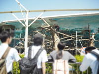 H300511_001.JPG