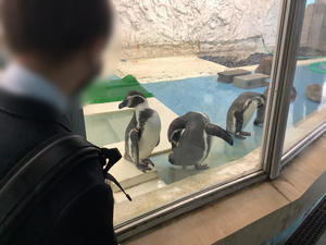 7_05.JPGのサムネイル画像