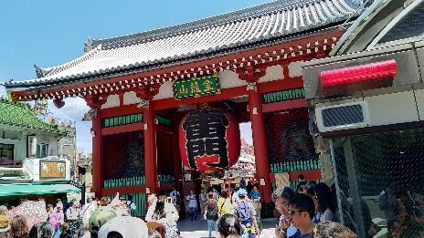 https://www.osaka-c.ed.jp/blog/namba-naniwa-s/report/%E6%B5%85%E8%8D%89-464x261.jpg