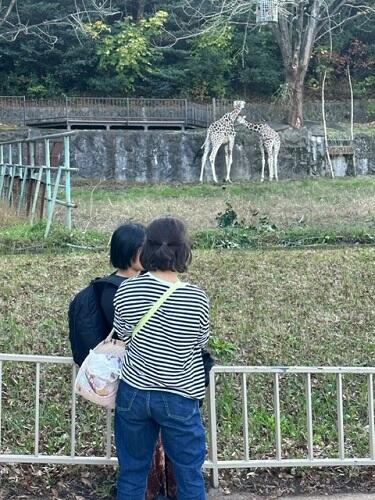 ⑫.jpg