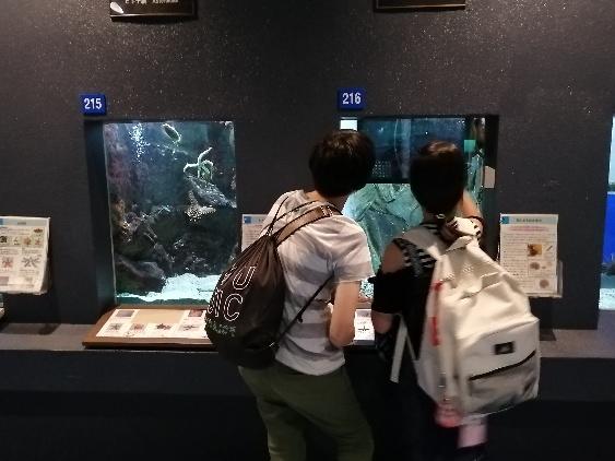 https://www.osaka-c.ed.jp/blog/namba-naniwa-s/report/IMG_20191011_094234-563x422.jpg