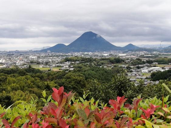 https://www.osaka-c.ed.jp/blog/namba-naniwa-s/report/IMG_20191025_095012-563x422.jpg