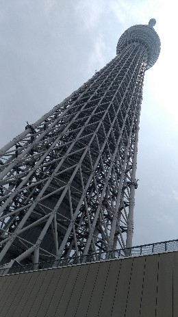 https://www.osaka-c.ed.jp/blog/namba-naniwa-s/report/P_20190621_114007-260x463.jpg