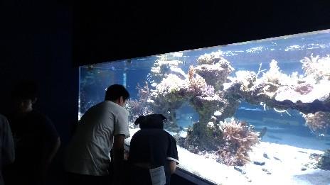 https://www.osaka-c.ed.jp/blog/namba-naniwa-s/report/P_20190621_115255-464x261.jpg
