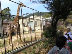 h241025-1.JPG