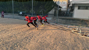 IMG_4939.jpg