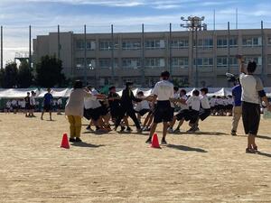 IMG_6166.jpg