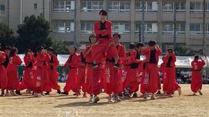 IMG_6399.jpg