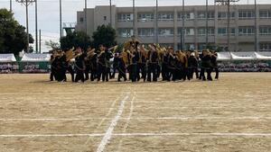IMG_6403.jpg