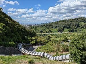 PXL_20240827_045149678 (2).jpg