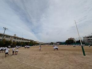 PXL_20241017_055306620.jpg