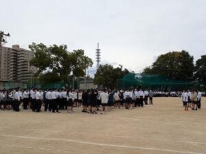 PXL_20241022_053414366.jpg