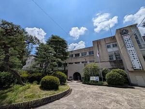 PXL_20250723_022842271.jpg