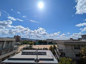 PXL_20250930_023646524.jpg