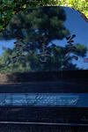 IMG_2024-08-08-175245.jpg