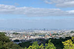 IMG_2024-10-20-204411.jpg