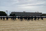 IMG_2024-10-25-174305.jpg