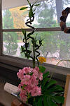 IMG_2024-10-30-115453.jpg