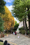 IMG_2024-11-07-153453.jpg