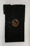 IMG_2024-11-19-092600.jpg
