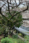 IMG_2025-03-28-112747.jpg