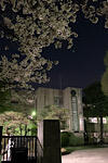 IMG_2025-04-09-192524.jpg