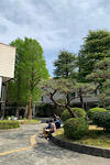 IMG_2025-04-24-143644.jpg