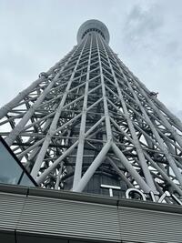 3_IMG_6194 - 2年5組06番今津 斗弥.jpeg