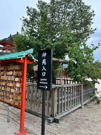1_IMG_5814 - 2年5組06番今津 斗弥.jpeg